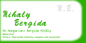 mihaly bergida business card